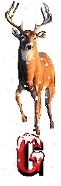 orignal-0000-7.gif