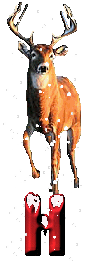 orignal-0000-8.gif