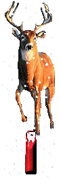 orignal-0000-9.gif