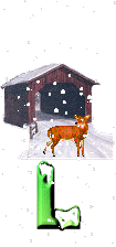 orignal-44304334-12.gif