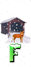 orignal-44304334-6.gif