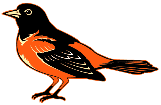 oriole20bird.gif