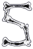 os-0000-19.gif