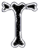 os-0000-20.gif