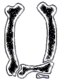 os-0000-21.gif