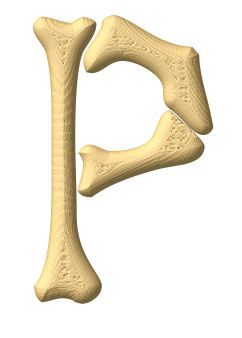 os-00433-16.jpg