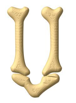 os-00433-21.jpg