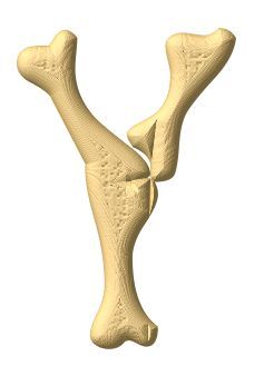 os-00433-25.jpg