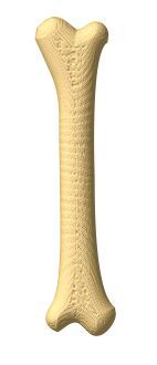 os-00433-9.jpg