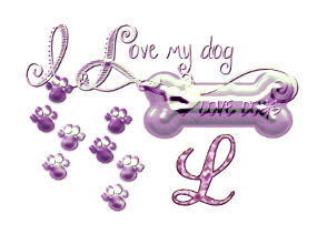 os-chien-65560-12.png
