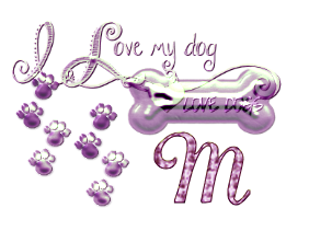 os-chien-65560-13.png