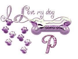 os-chien-65560-16.png