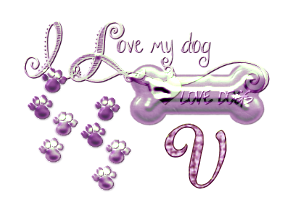 os-chien-65560-22.png