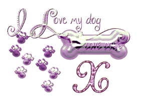 os-chien-65560-24.png