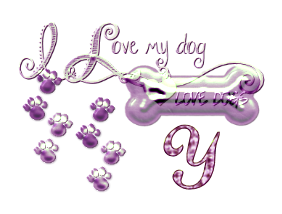 os-chien-65560-25.png