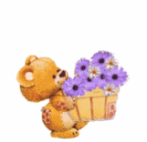 ourso-443843843843834-1.gif