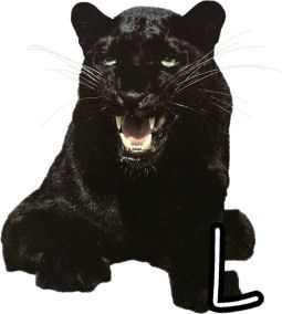 panther-554443-12.jpg