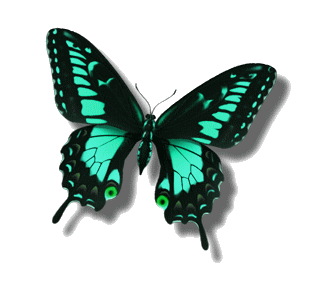 papillon-101767690769076979065065.gif