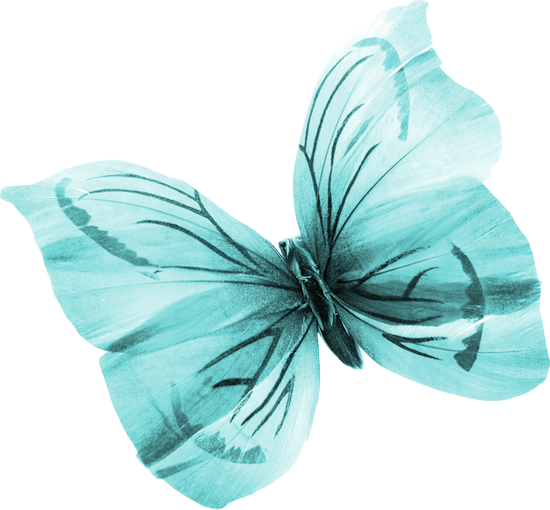 papillon-10545489659856845894599.png