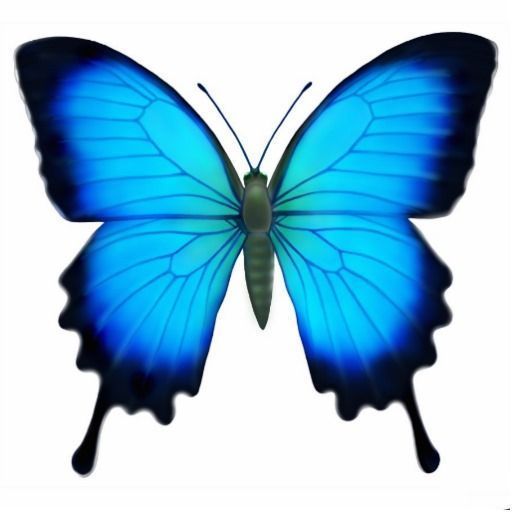 papillon-10656594398438943895489540.jpg