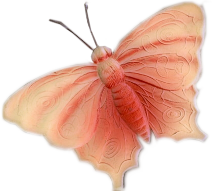 papillon-12167865954030044935959.png