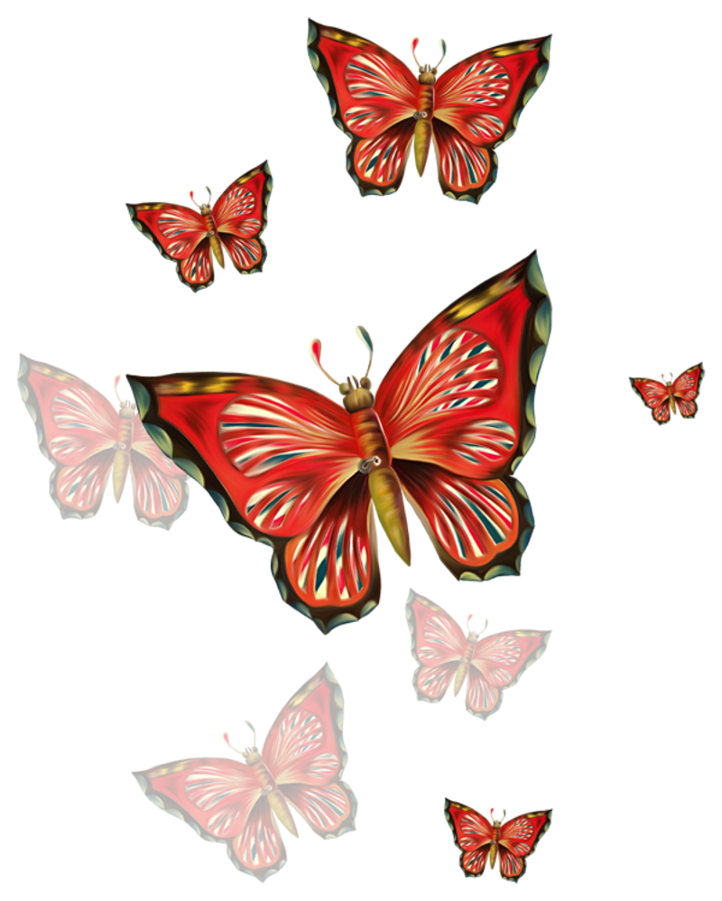 papillon-14233323439549854856896589899.png