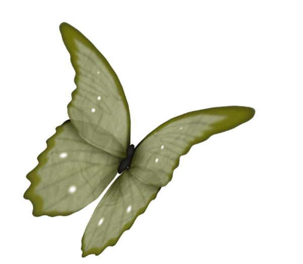 papillon-146584383920202202.png