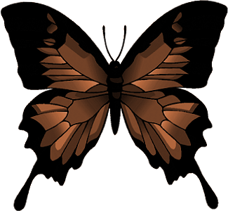 papillon-15454545409094343885858.png