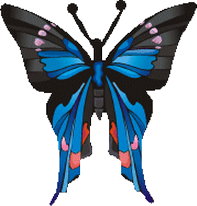 papillon-155544596589658658658659.png