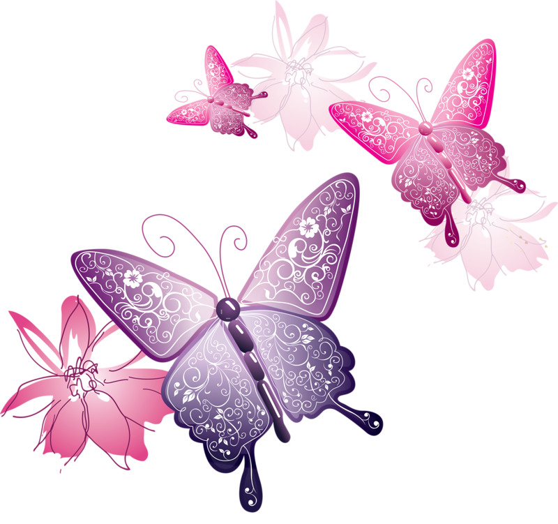 papillon-156650659065906796790.png