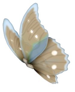 papillon-169.png