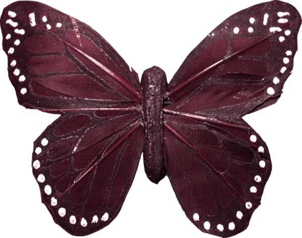 papillon-178.png