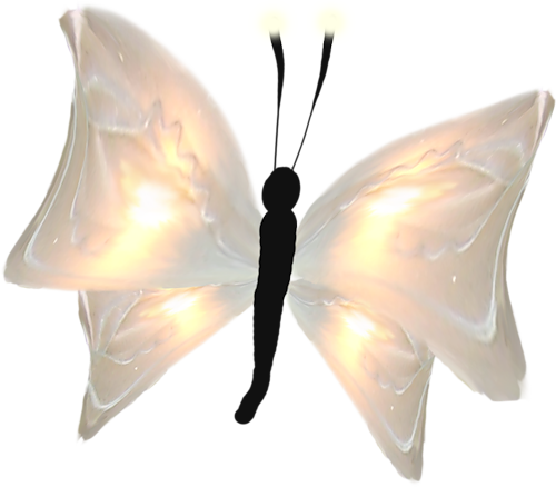 papillon-1874343054959659865965965965.png