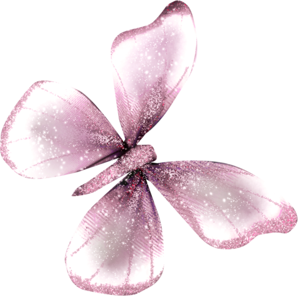 papillon-207659349439043905059595957.png