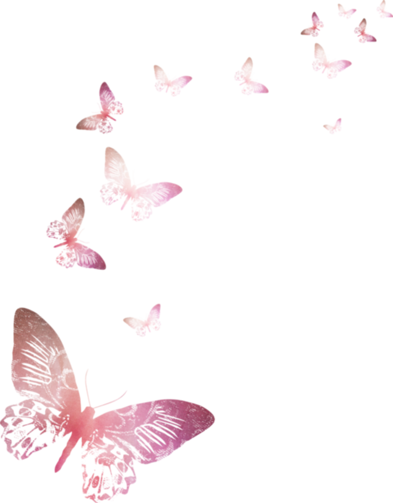 papillon-2876676565659659659.png