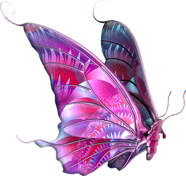 papillon-31545406590659065965.png