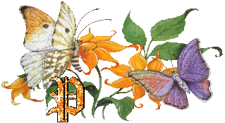 papillon-3233299rr8t7667-16.gif