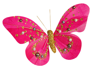 papillon-3546509659065590654.png