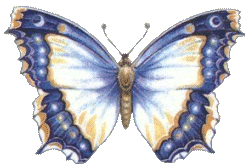 papillon-454954959865868688889.gif