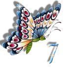 papillon-5566565-4.jpg