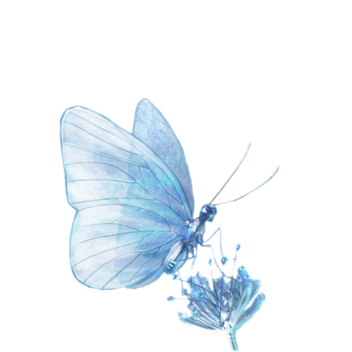 papillon-60665096509650600.png