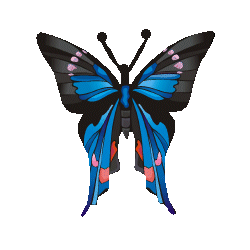 papillon-63434554595696590.gif