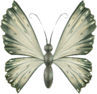 papillon-656565767678787.png