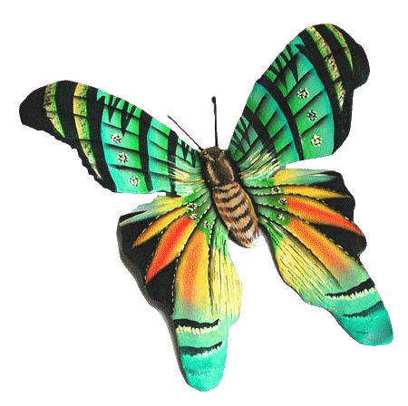 papillon-70.gif