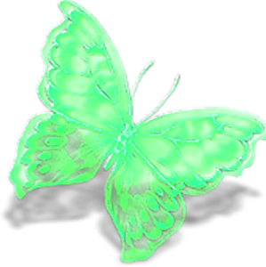 papillon-85489549865986596596596592.png