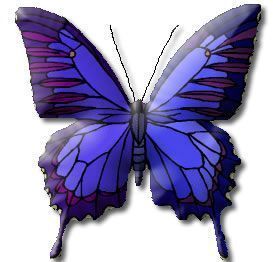 papillon-85496596595655696659691.jpg