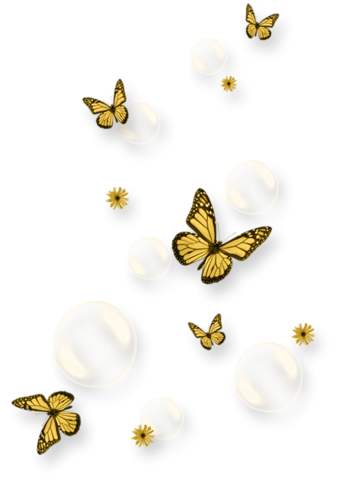 papillon-87676655454545467677784.png