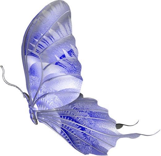 papillon-943343490540560654584587454.png