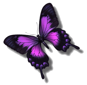 papillon-9443954895489548458549.gif