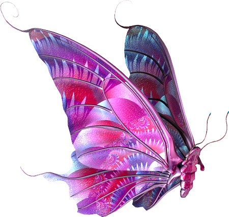 papillon-96509659065906596590561.png